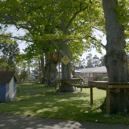 Te Aroha Holiday Park And Motels Zewnętrze zdjęcie