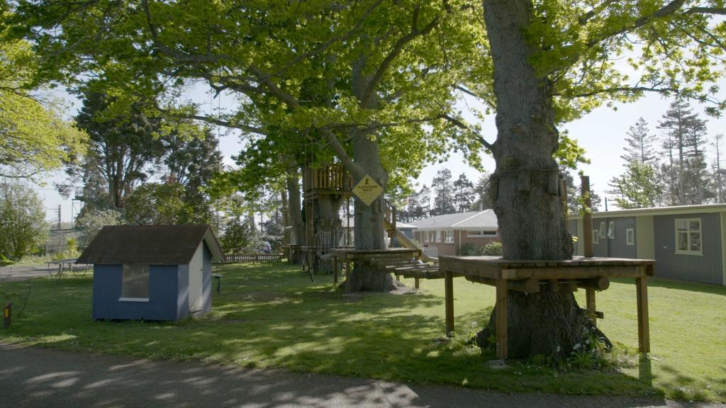 Te Aroha Holiday Park And Motels Zewnętrze zdjęcie