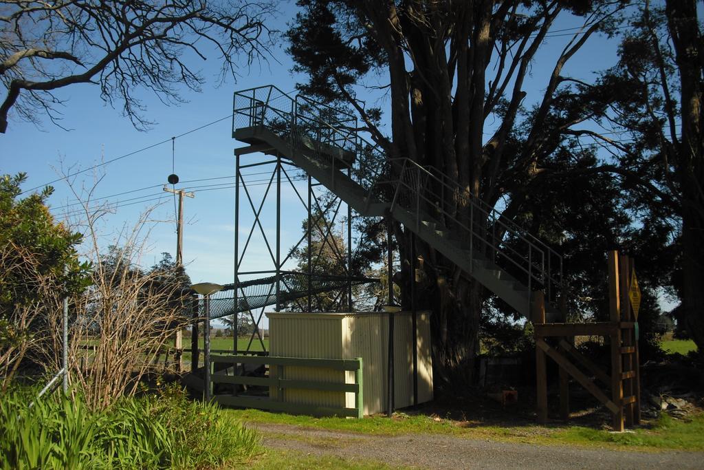 Te Aroha Holiday Park And Motels Zewnętrze zdjęcie