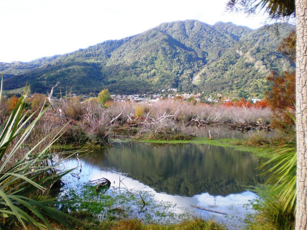 Te Aroha Holiday Park And Motels Pokój zdjęcie